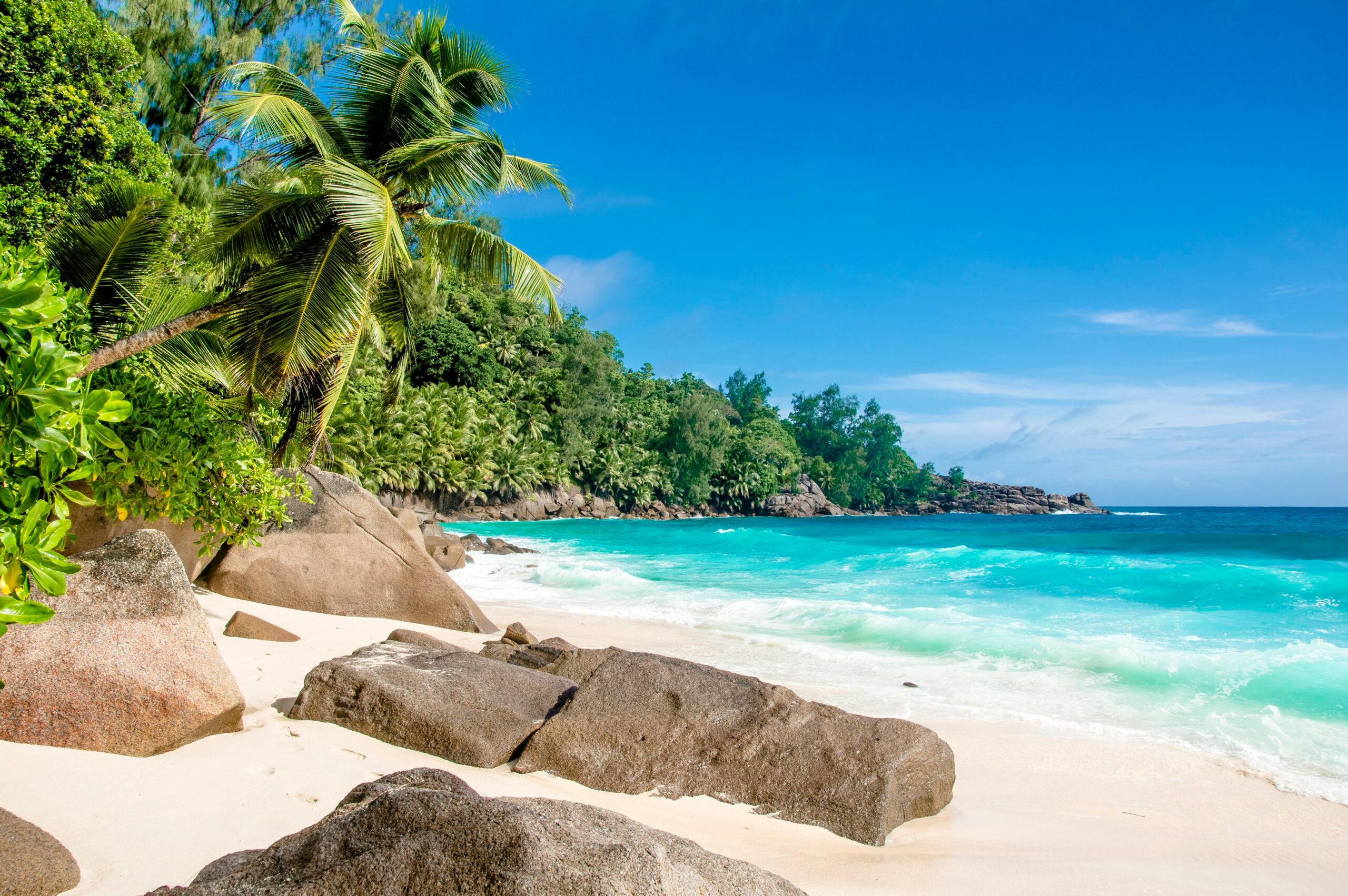Breathtaking tropical beach with lush greenery, palm trees, and clear blue ocean.