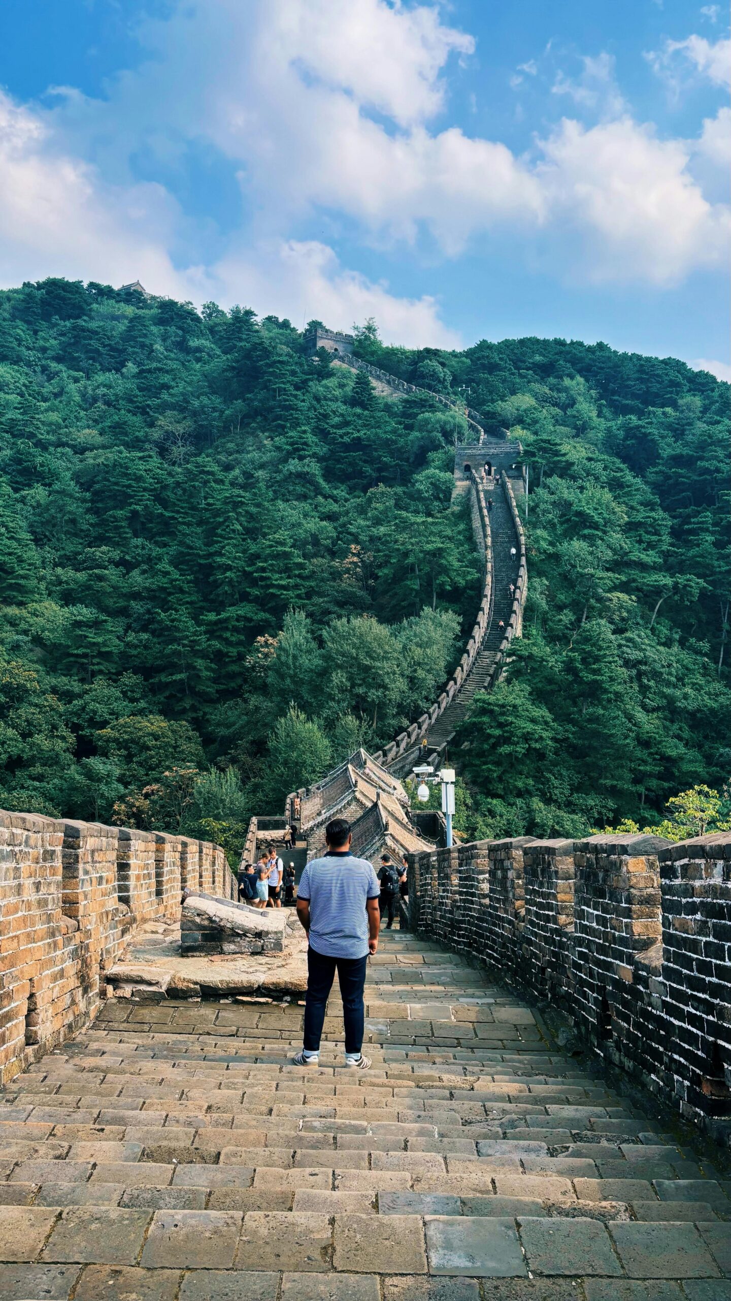 A person standing on the Great Wall of China surrounded by lush green scenery.